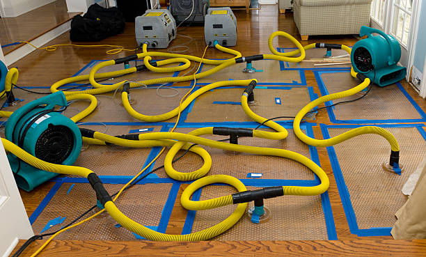 Professional Storm Water Damage Restoration technician working in Cecil, PA